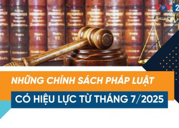 CHÍNH SÁCH PHÁP LUẬT CÓ HIỆU LỰC TỪ THÁNG 7/2025