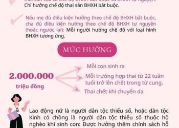 NGƯỜI TỰ NGUYỆN THAM GIA BHXH ĐƯỢC HƯỞNG TRỢ CẤP THAI SẢN TỪ NGÀY 01/7/2025