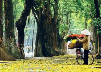 HÀ NỘI VÀ TP HỒ CHÍ MIMH VÀO DANH SÁCH “CÁC THÀNH PHỐ TUYỆT VỜI NHẤT THẾ GIỚI”