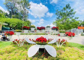 🌻 KHU VỰC TRUNG TÂM SÀI GÒN KHOE SẮC ĐÓN TẾT ĐỘC LẬP 🇻🇳