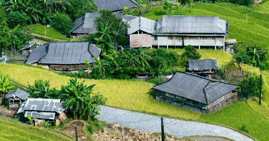 BẢN PHÙNG, HOÀNG SU PHÌ