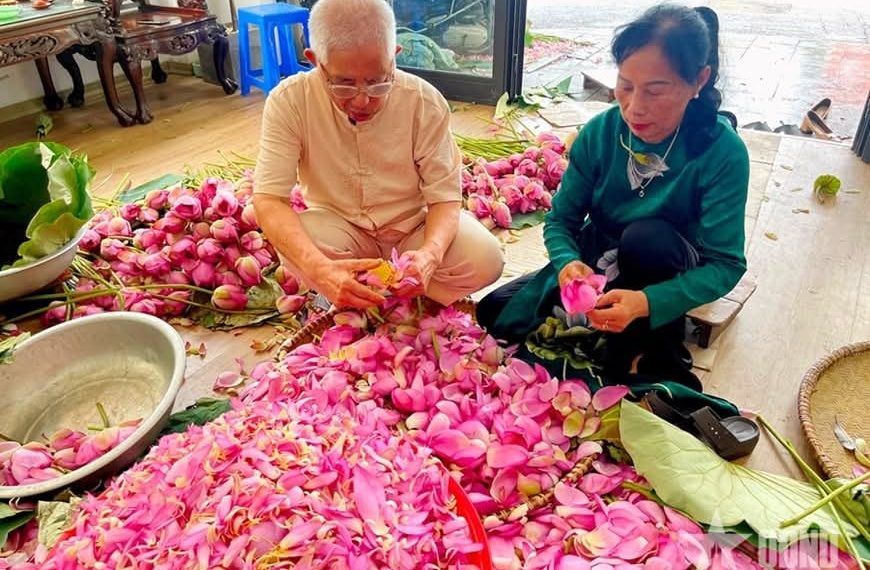 NÍU HỒN HÀ NỘI TRONG HƯƠNG SEN