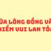 GIỮA LÒNG ĐỒNG VĂN, NIỀM VUI LAN TỎA