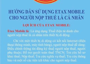 HƯỚNG DẪN SỬ DỤNG ETAX MOBILE CHO NGƯỜI NỘP THUẾ LÀ CÁ NHÂN
