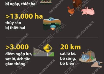 BÃO SỐ 10 GÂY THIỆT HẠI NẶNG NỀ VỀ NGƯỜI VÀ TÀI SẢN