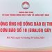 PHÁT ĐỘNG KÊU GỌI ỦNG HỘ ĐỒNG BÀO BỊ THIỆT HẠI DO CƠN BÃO SỐ 10 GÂY RA