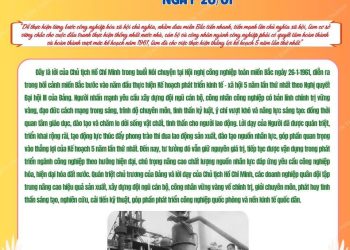 HỌC BÁC LÒNG TA TRONG SÁNG HƠN!