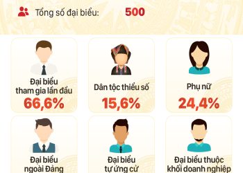 KẾT QUẢ BẦU CỬ ĐẠI BIỂU QUỐC HỘI KHÓA XIII