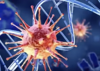 NHỮNG LƯU Ý ĐỂ PHÒNG BỆNH DO VIRUS NIPAH