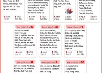 13 ĐƠN VỊ BẦU CỬ CỦA THÀNH PHỐ HỒ CHÍ MINH