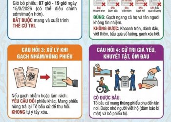TOP 5 CÂU HỎI CỦA CÁC CỬ TRI
