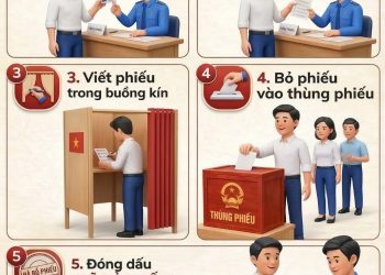HƯỚNG DẪN CỬ TRI THỰC HIỆN BỎ PHIẾU