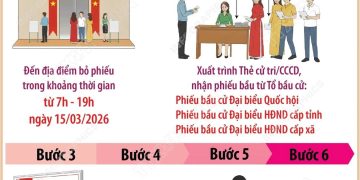 BẦU CỬ QUỐC HỘI VÀ HĐND: 6 BƯỚC BỎ PHIẾU BẦU CỬ ĐÚNG QUY ĐỊNH