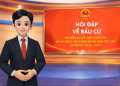 QUY TRÌNH BẦU CỬ
