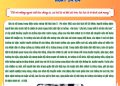 HỌC BÁC LÒNG TA TRONG SÁNG HƠN!