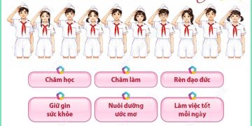 NĂM ĐIỀU BÁC HỒ DẠY CHÍNH LÀ HỆ GIÁ TRỊ SÂU SẮC ĐỂ CÁC CHÁU HỌC TẬP, RÈN LUYỆN VÀ TRƯỞNG THÀNH