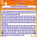 HỌC BÁC LÒNG TA TRONG SÁNG HƠN!